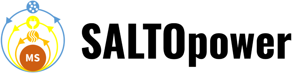 cromatic version of saltopower logotype