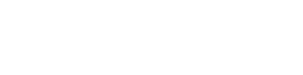 white version of saltopower logotype