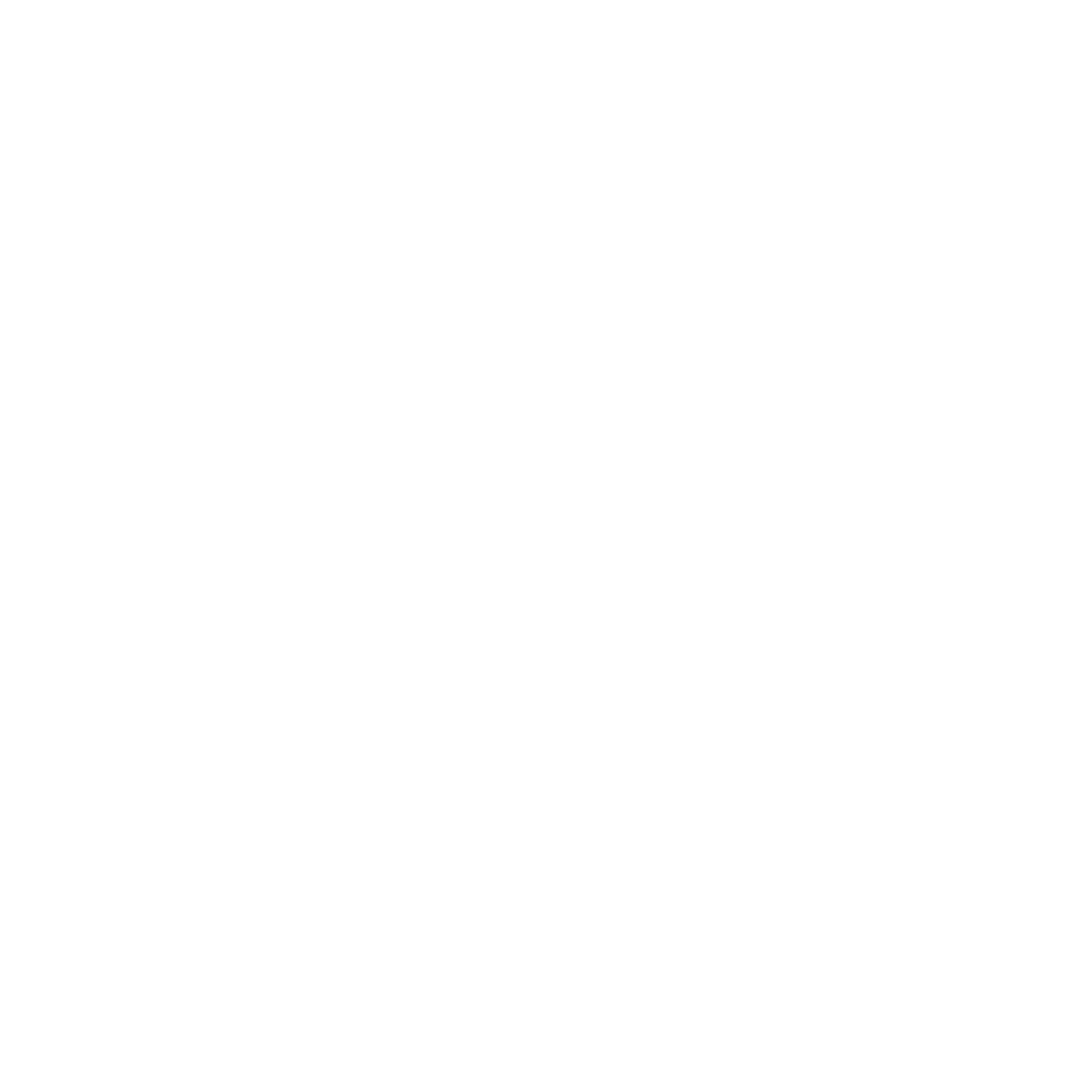 white version of saltopower logo