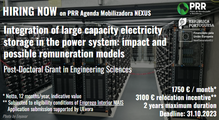 Integration of large capacity electricity storage in the power system: impact and possible remuneration models