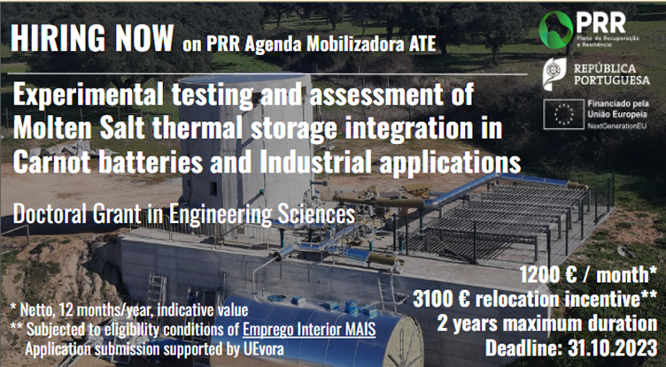Experimental testing and assessment of Molten Salt thermal storage integration in Carnot batteries and Industrial applications
