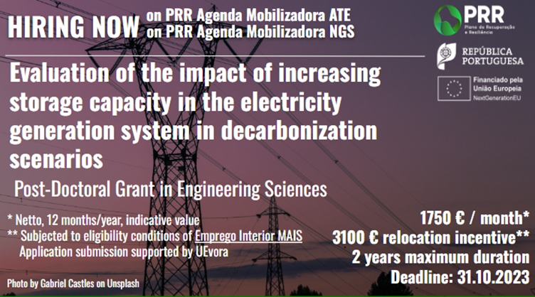 Evaluation of the impact of increasing storage capacity in the electricity generation system in decarbonization scenarios